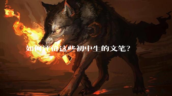 如何评价这些初中生的文笔？